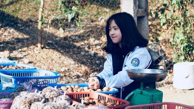 Cô bé bán óc chó ở Hà Giang đã bất ngờ trở lại