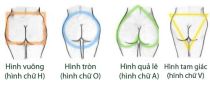 4 kiểu hình dáng vòng ba thường thấy ở phái đẹp