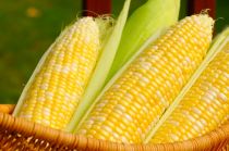 Kiểm tra cơ thể thiếu hay đủ chất xơ bằng hạt ngô 