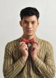 Nhan Phúc Vinh bảnh bao với trang phục sắc màu